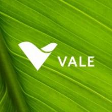 Vale Ventures